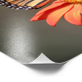 Monarchschmetterling auf einer orangen Blume Fotodruck (Ecke)