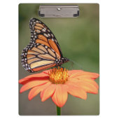Monarchschmetterling auf einer orangen Blume Klemmbrett (Vorderseite)