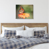 Monarchschmetterling auf einer orangen Blume Leinwanddruck (Insitu (Schlafzimmer))