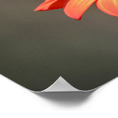 Monarchschmetterling auf einer orangen Blume Poster (Ecke)