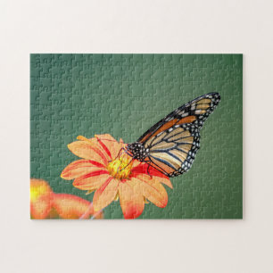 Monarchschmetterling auf einer orangen Blume Puzzle