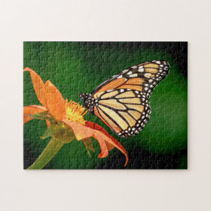 Monarchschmetterling auf einer orangen Blume Puzzle