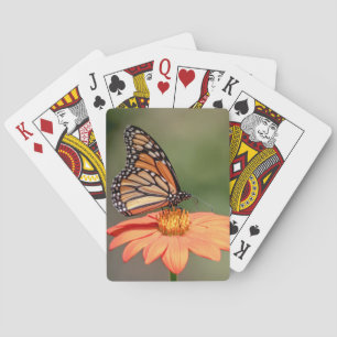 Monarchschmetterling auf einer orangen Blume Spielkarten