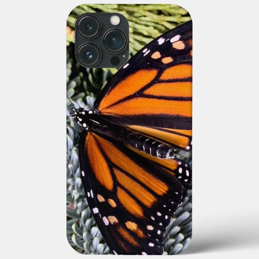 Monarchschmetterling auf Evergres Case-Mate iPhone Hülle (Rückseite)