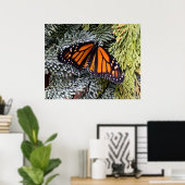 Monarchschmetterling auf Evergres Poster (Heimbüro)