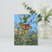 Monarchschmetterling auf gelben Wildblumen Postkarte (Stehend Vorderseite)