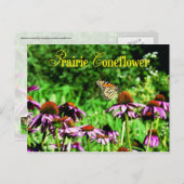 Monarchschmetterling auf lila Präriefefelder Postkarte (Vorne/Hinten)