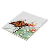 Monarchschmetterling auf Milchkrautblüten, auf Wei Fliese (Seite)