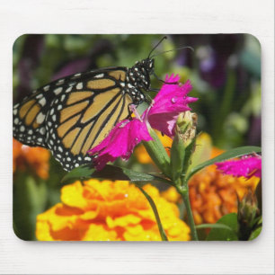 Monarchschmetterling auf rosa Marigold-Mousepad Mousepad