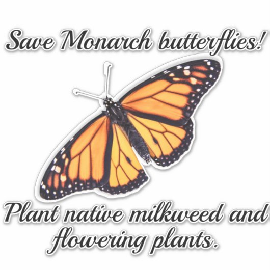 Monarchschmetterling Aufkleber (Vorderseite)