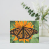 Monarchschmetterling (Danaus plexippus) auf Topf Postkarte (Stehend Vorderseite)