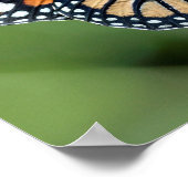Monarchschmetterling füttre auf Blume Poster (Ecke)