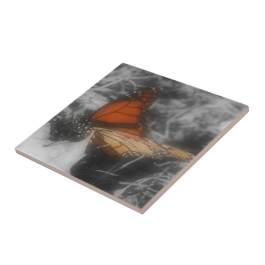 Monarchschmetterling in Schwarz-Weiß-Natur Fliese (Seite)
