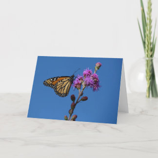 Monarchschmetterling Karte
