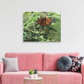 Monarchschmetterling Leinwanddruck (Insitu (Wohnzimmer))