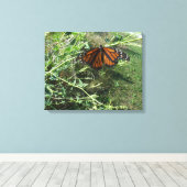 Monarchschmetterling Leinwanddruck (Insitu (Holzboden))