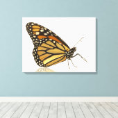 Monarchschmetterling Leinwanddruck (Insitu (Holzboden))