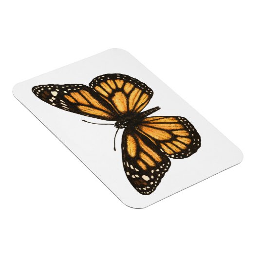 Monarchschmetterling Magnet (Rechte Seite)