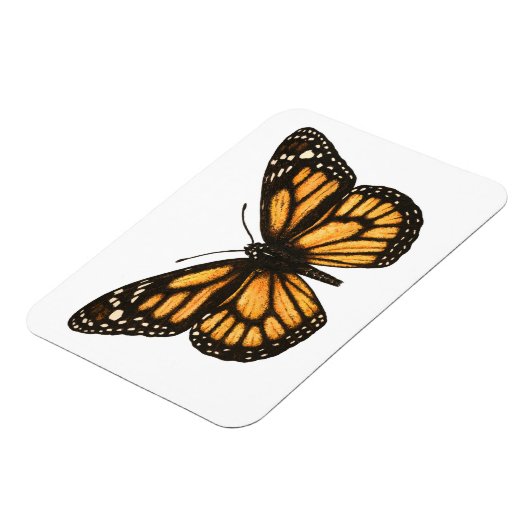 Monarchschmetterling Magnet (Linke Seite)