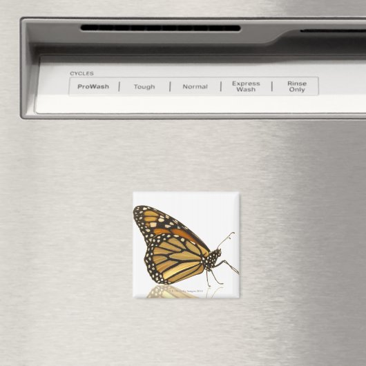 Monarchschmetterling Magnet (In Situ (Geschirrspüler))