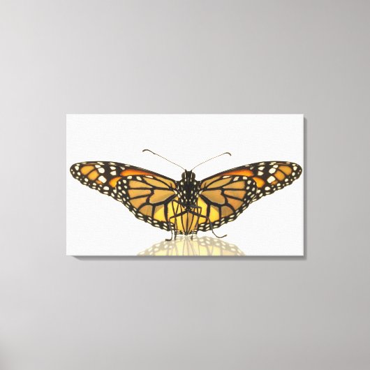 Monarchschmetterling mit ausgebreiteten Flügeln Leinwanddruck (Vorderseite)