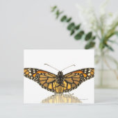 Monarchschmetterling mit ausgebreiteten Flügeln Postkarte (Stehend Vorderseite)