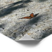 Monarchschmetterling Poster (Ecke)