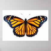 Monarchschmetterling Poster (Vorne)