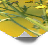 Monarchschmetterling Poster (Ecke)