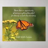 Monarchschmetterling Poster (Vorne)
