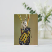 Monarchschmetterling Postkarte (Stehend Vorderseite)