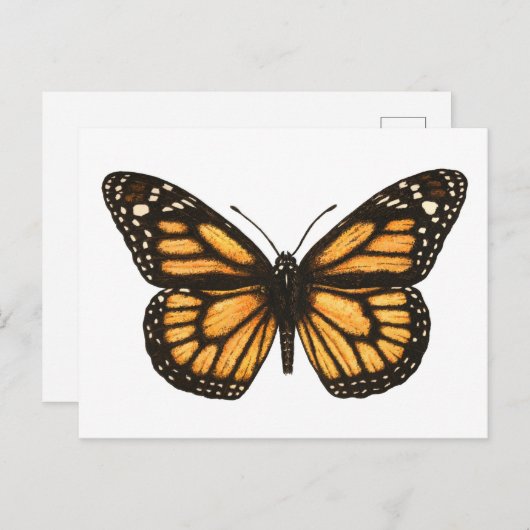 Monarchschmetterling Postkarte (Vorne/Hinten)