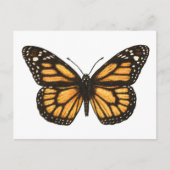 Monarchschmetterling Postkarte (Vorderseite)