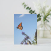 Monarchschmetterling Postkarte (Stehend Vorderseite)