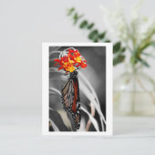 Monarchschmetterling Postkarte (Stehend Vorderseite)