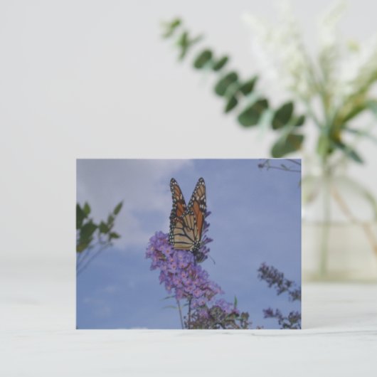 Monarchschmetterling Postkarte (Stehend Vorderseite)