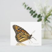 Monarchschmetterling Postkarte (Stehend Vorderseite)