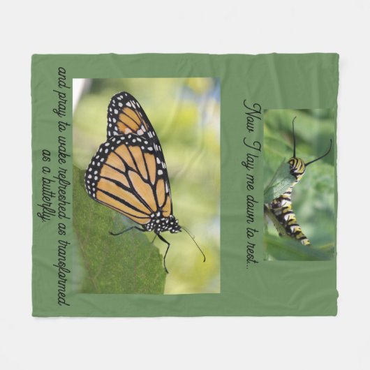 Monarchschmetterling Raupe Fleecedecke (Vorderseite (Horizontal))