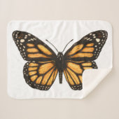Monarchschmetterling Sherpadecke (Vorderseite (Horizontal))