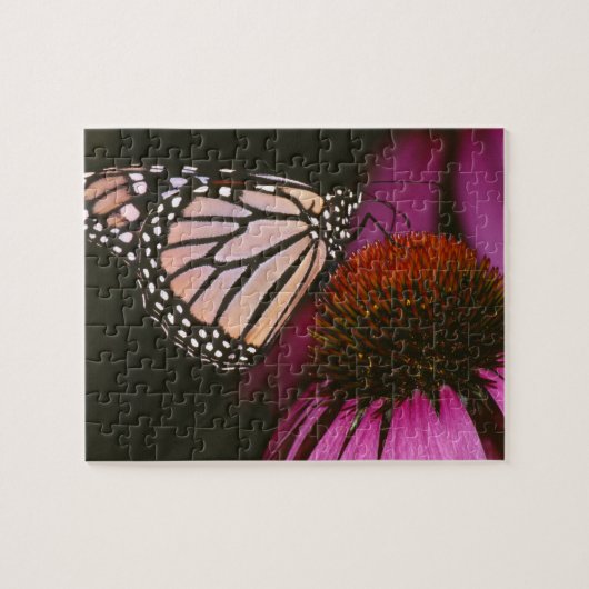 Monarchschmetterling und Lila Blume Puzzle (Horizontal)