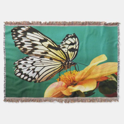 Monarchschmetterling und orangefarbene Blume Decke (Vorderseite)