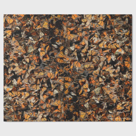 Monarchschmetterlinge, Geschenkpapier (Flach)