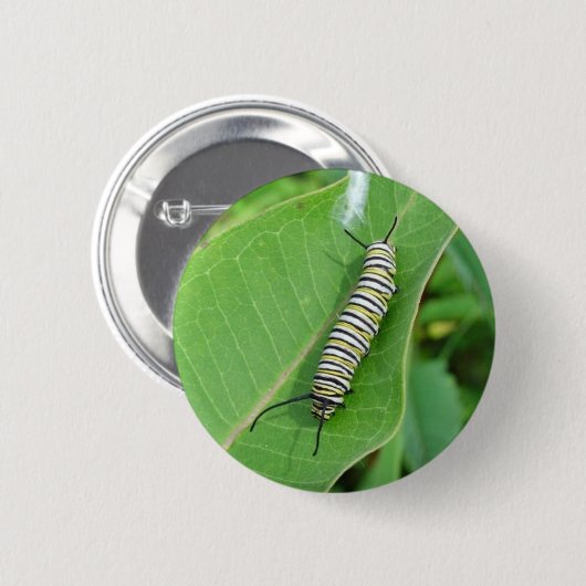 Monarchschmetterlings-Raupe Button (Vorne & Hinten)
