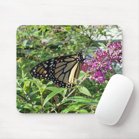 Monarchschmetterlingsmopper Mousepad (Mit Mouse)