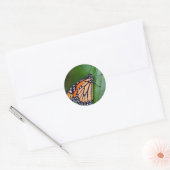 Monarchsticker Runder Aufkleber (Umschlag)