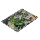 Monarda Notizblock (Linke Seite)