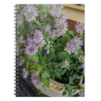 Monarda Notizblock