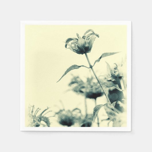 Monarda oder Bee Balm Serviette (Vorderseite)