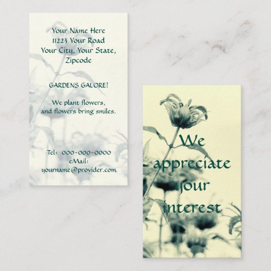 Monarda oder Bee Balm Visitenkarte (Vorne/Hinten)