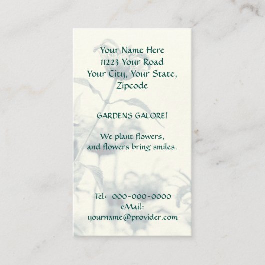 Monarda oder Bee Balm Visitenkarte (Vorderseite)